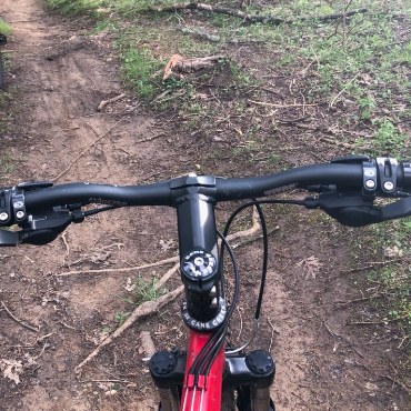 Handlebars of a mountain bike on a wooded singletrack trail